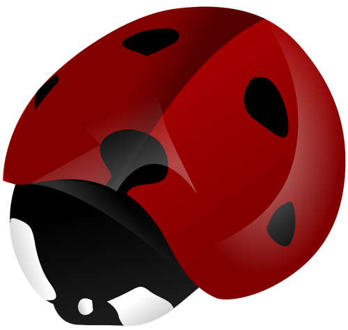 Ladybird vectoriale