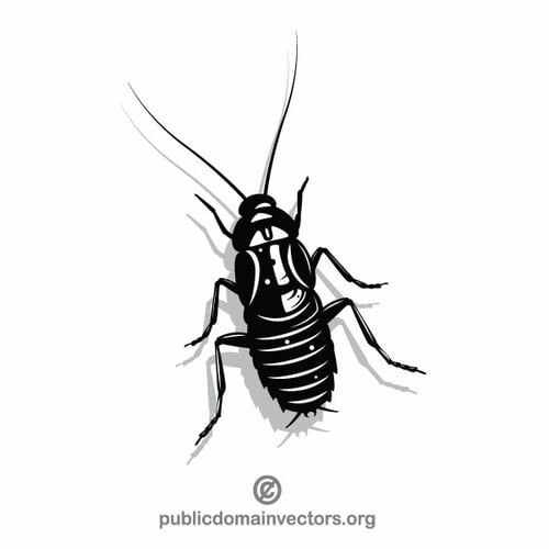 Clipart vectorial de cucaracha