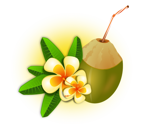 Kokosnoot cocktail vectorafbeeldingen