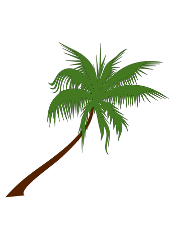 Palmiye ağacı