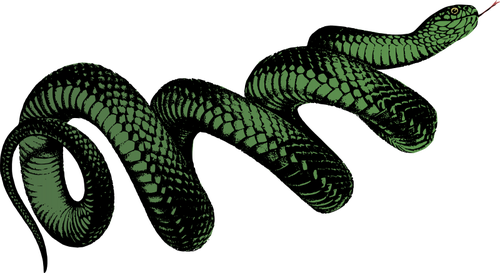 Käämitetty vihreä käärme
