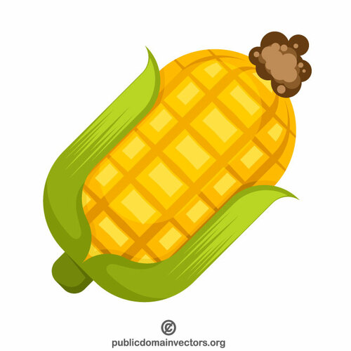 Icono de vector de maíz
