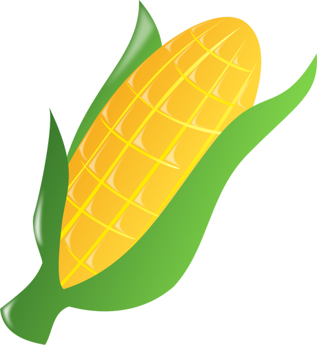 Corn on the cob 2