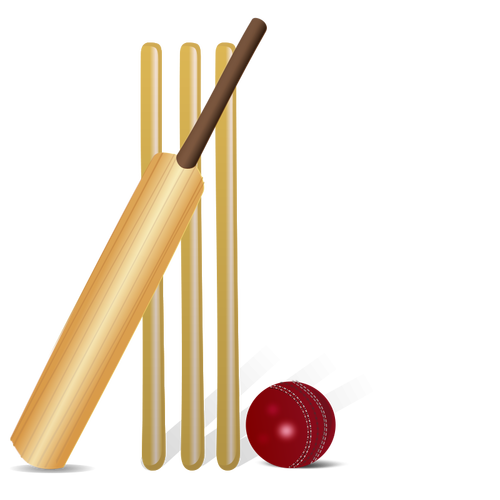 Vektorové kreslení kriket zařízení