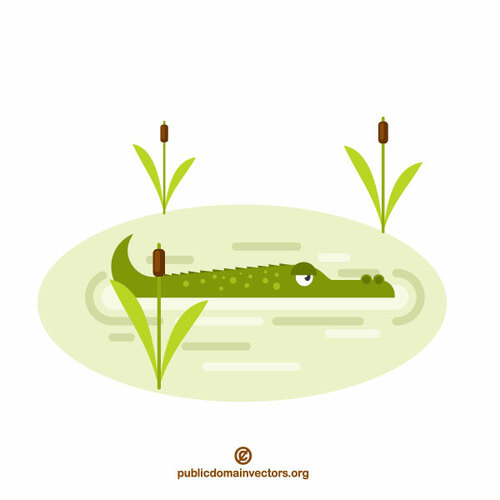 Krokodille i vannet