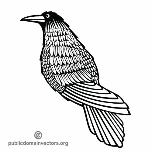 Crow vector illustraties
