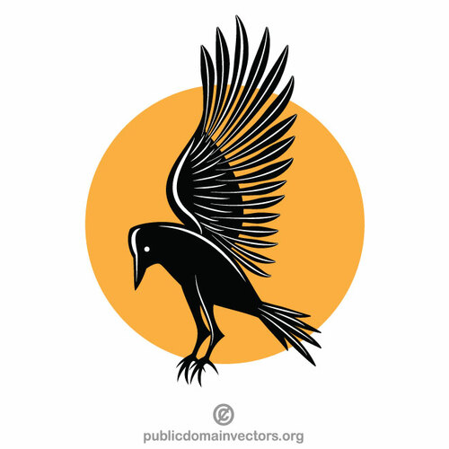 Uccello corvo nero