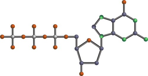 DNA-molecule