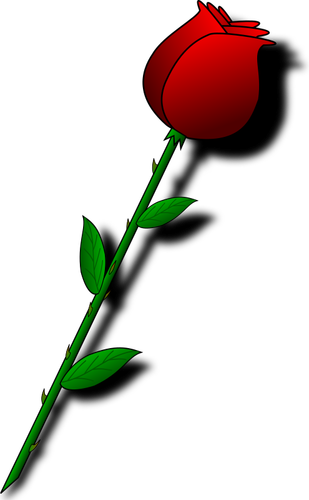 Mawar dengan duri