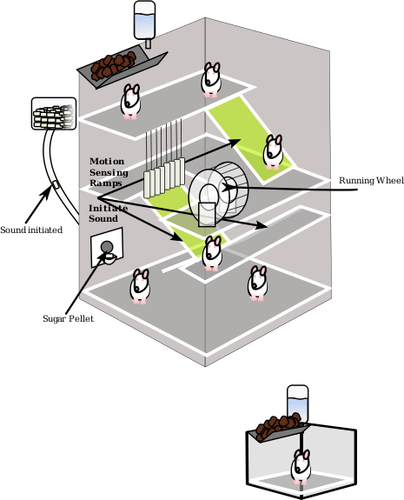 Grafică vectorială a mouse-ului experiment capcana