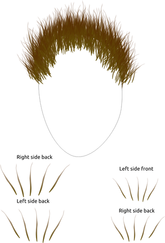 髪の部分と人間の顔の形のイメージ