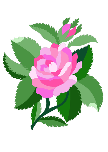 Desain untuk damask rose