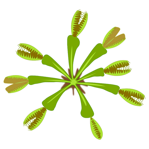 矢量图形的食虫植物从顶视图