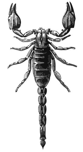 Dibujo vectorial de escorpión en escala de grises