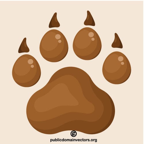 Dog paw vector image