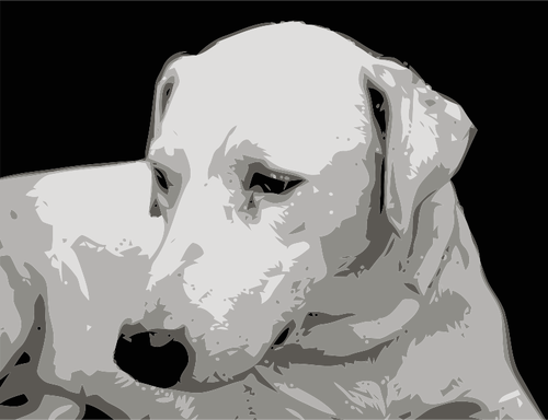 Clip-art vetor fotorrealista de cara de cachorro