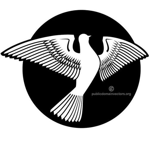 Bílá holubice symbol míru