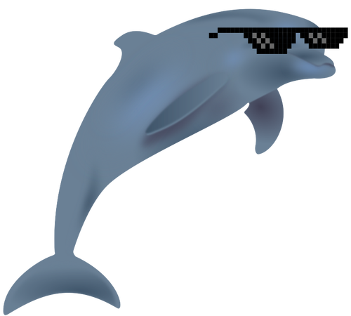 Delfin fajny