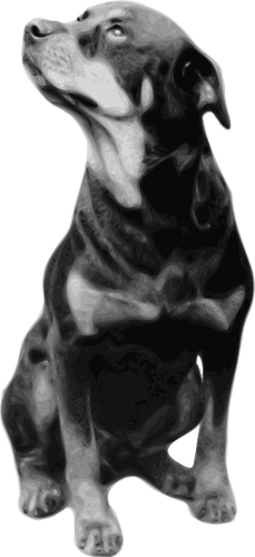 Dibujo de Rottweiler fotorealista vectorial