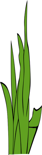 Bladeren van gras vectorillustratie