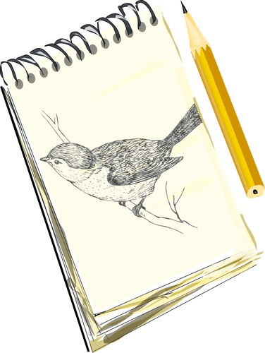 Schetsblok tekening van een vogel op een pad