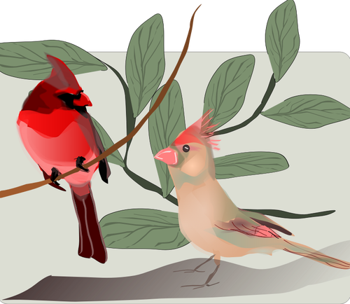 Vektor gambar berwarna-warni burung pipit di cabang pohon