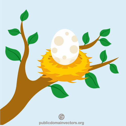 Um ovo no ninho