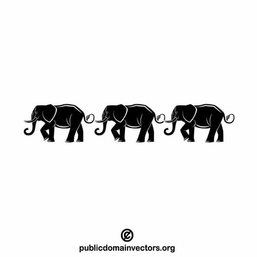 Trois éléphants