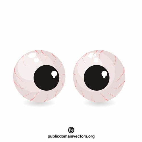 Eyeballs vector graphics