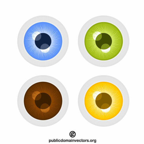 Ojos coloridos vector Clipart