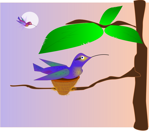 Illustratie van blauwe vogel in een nest op een boom