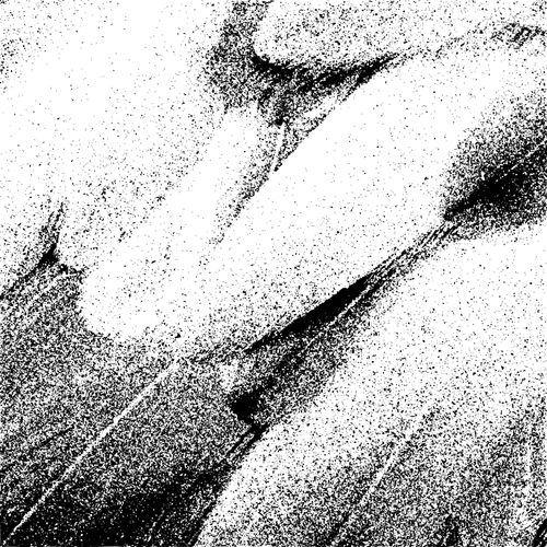 Vektor seni klip bulu jejak dalam hitam dan putih