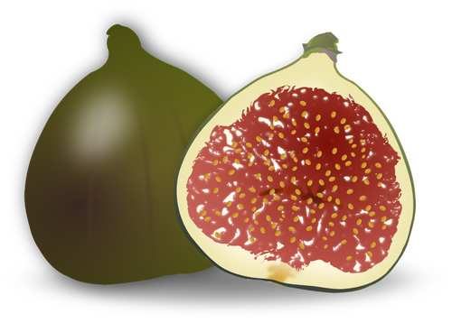 Fig frukt