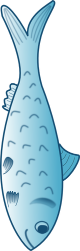 Modrá ryba vektorové grafiky