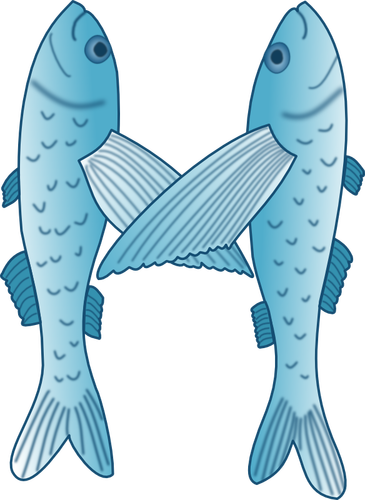 איור וקטורי כחול ולבן של שני דגים
