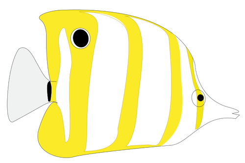 पीला उष्णकटिबंधीय मछली छवि