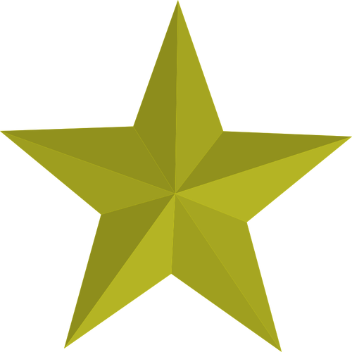 Vector image of golden star