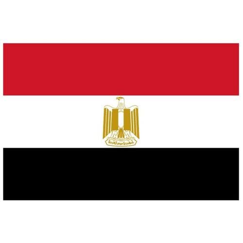 이집트의 국기