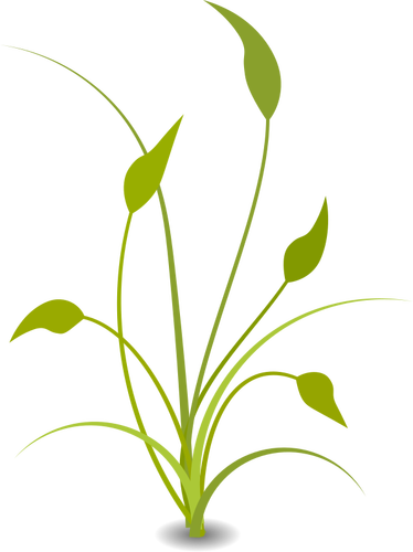 Grön växt med blad