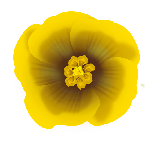 Härlig gul blomma