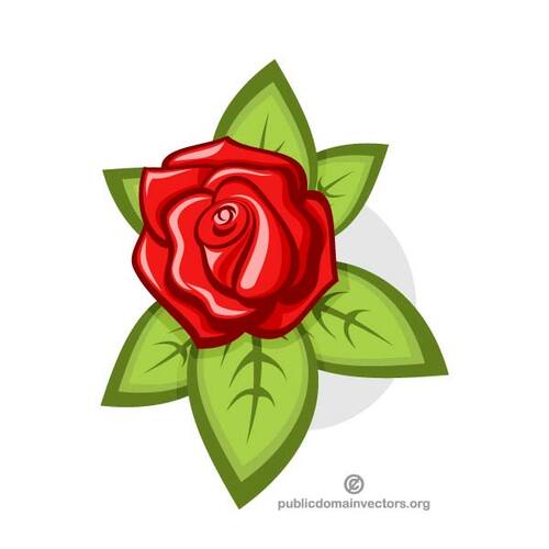 Red rose with green leaf