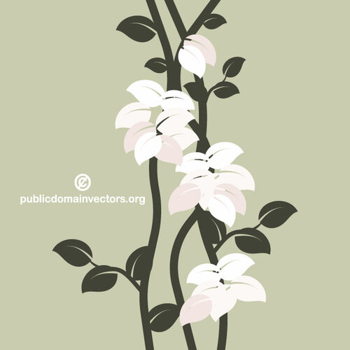 Hvite blomster på en plante