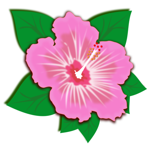 Flor rosa con hojas verdes