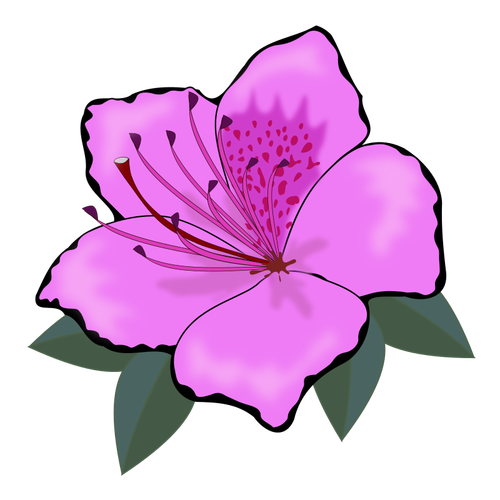 Graphiques de fleur rose clip art