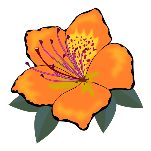 Оранжевый цветок с листьями