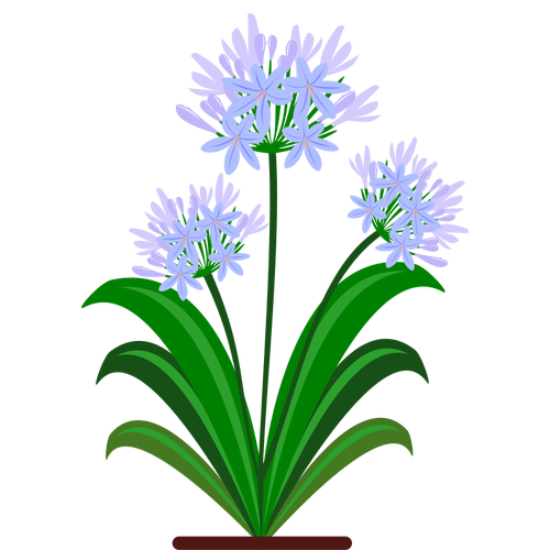 नीले फूल वेक्टर छवि