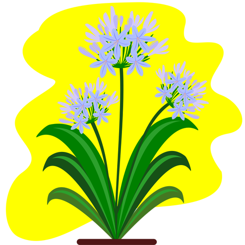 Blumen auf gelbem Hintergrund