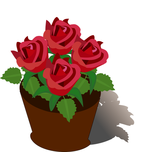Rosas vermelhas em uma panela