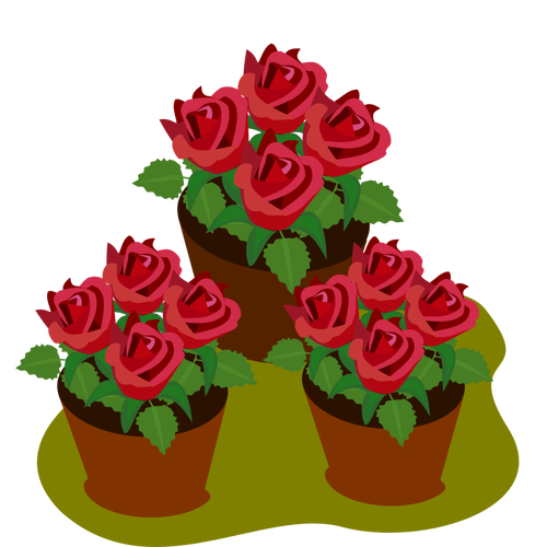 Pot dengan mawar