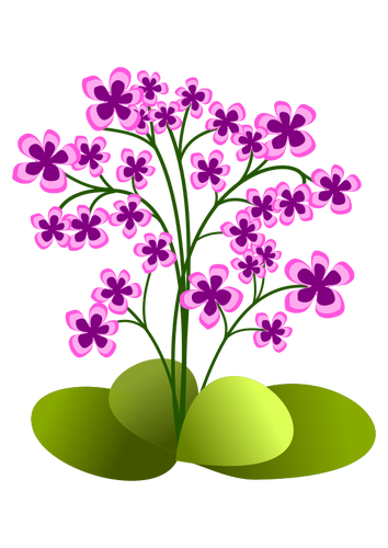 Flores pequeñas